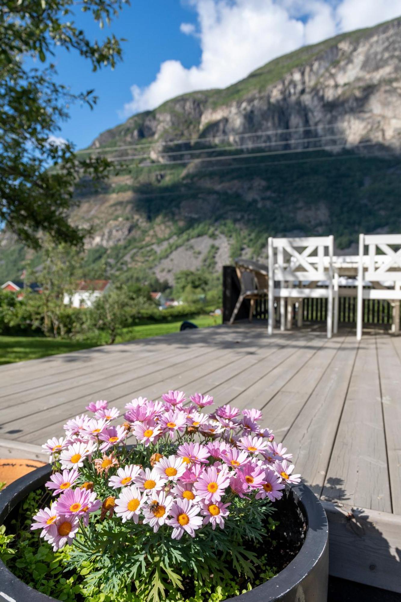 Jordeplegarden Holiday Home - Part Of A Farm - Two Buildings - Close To Flam Lærdalsøyri Εξωτερικό φωτογραφία