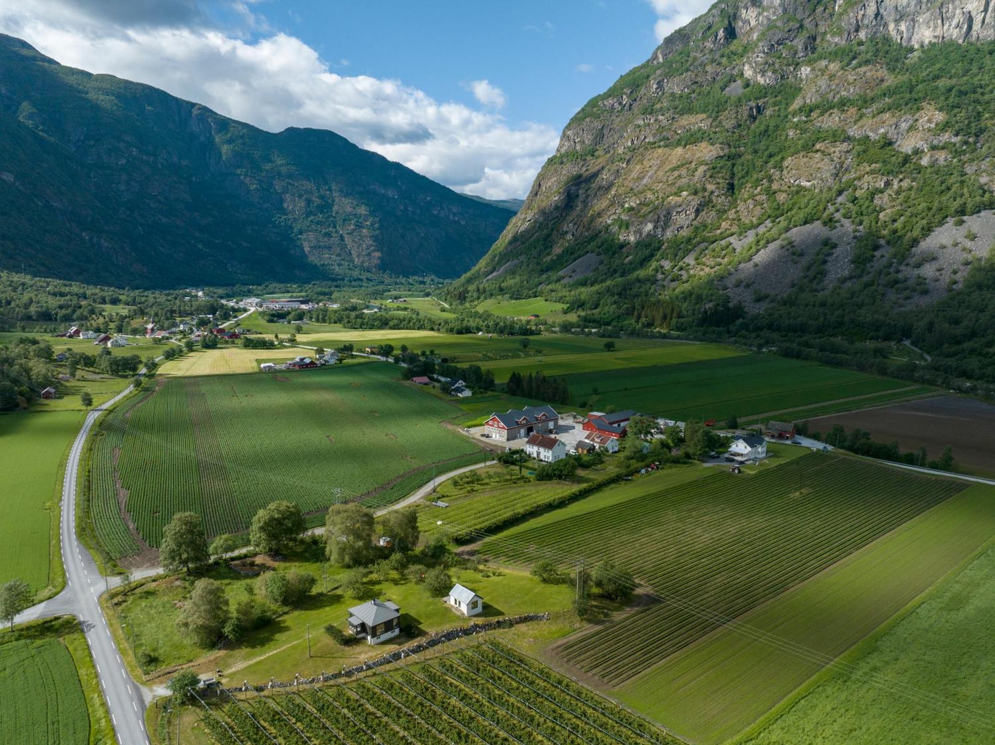 Jordeplegarden Holiday Home - Part Of A Farm - Two Buildings - Close To Flam Lærdalsøyri Εξωτερικό φωτογραφία